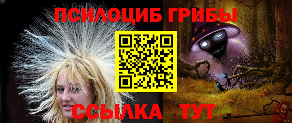 Гай  Галлюциногенные грибы GOLDEN TEACHER  Вход с VPN 