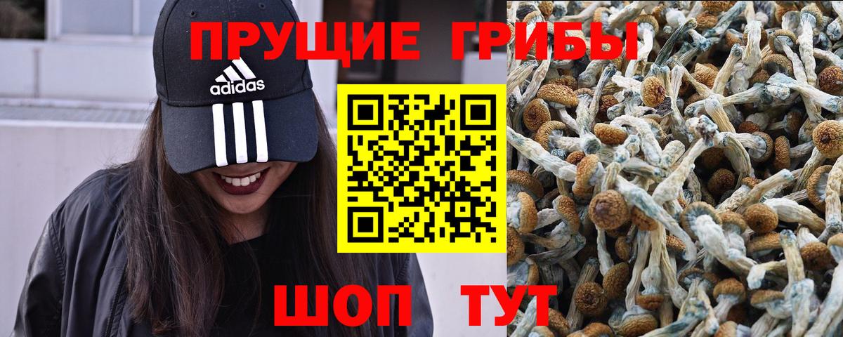 Галлюциногенные грибы Cubensis Гай