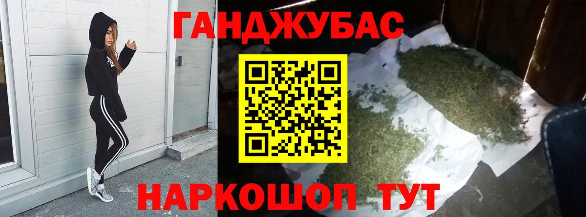 Бошки марихуана сатива Гай